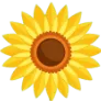 Grow A Sunflower