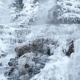 / ❅ / frosted /